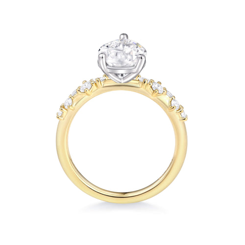 Eternal Pave Solitaire Ring