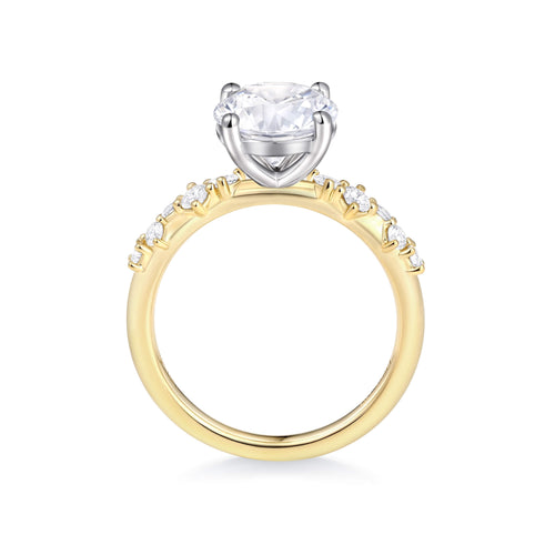 Eternal Pave Solitaire Ring