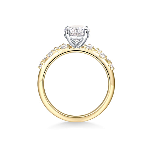 Eternal Pave Solitaire Ring