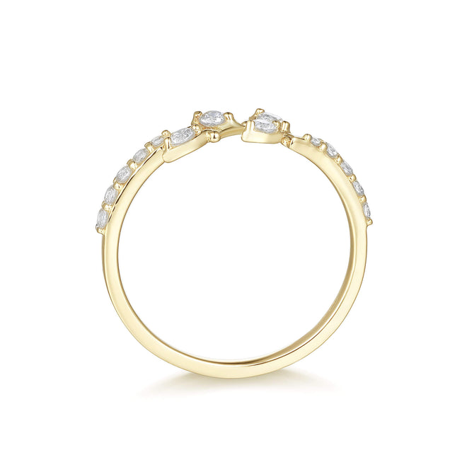 Anillo de gracia de la naturaleza