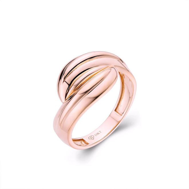 hand crafted Gold or silver Womens simple ring-ring-lirysjewelry