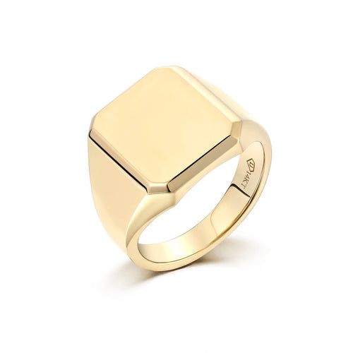 Sleek Signet Ring – Liry's Jewelry