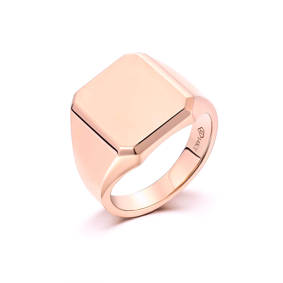 Signet Rings - Rings For Men & Women | Alighieri Jewellery