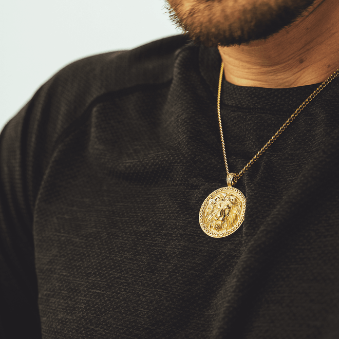 Lion Head Medallion 2 | Pattern Border